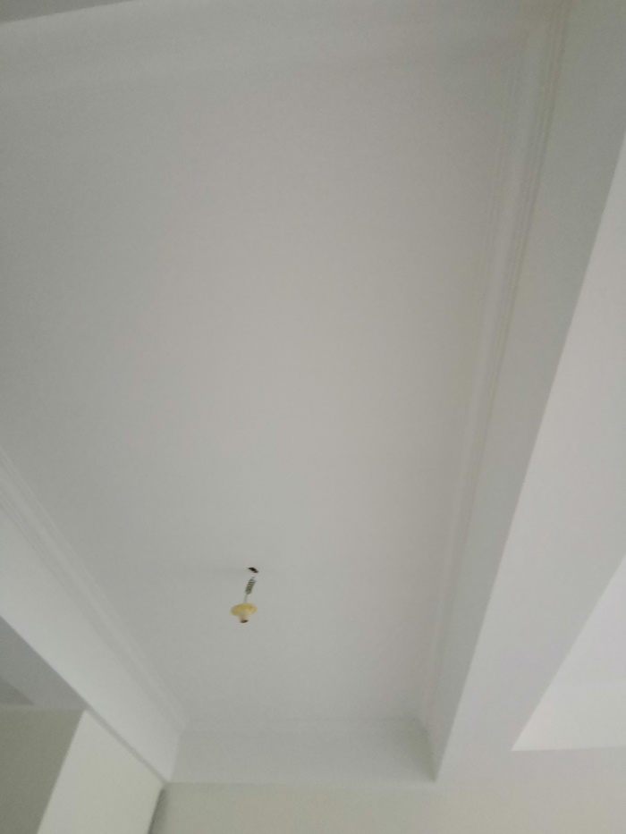 IMG_20190831_144022.jpg