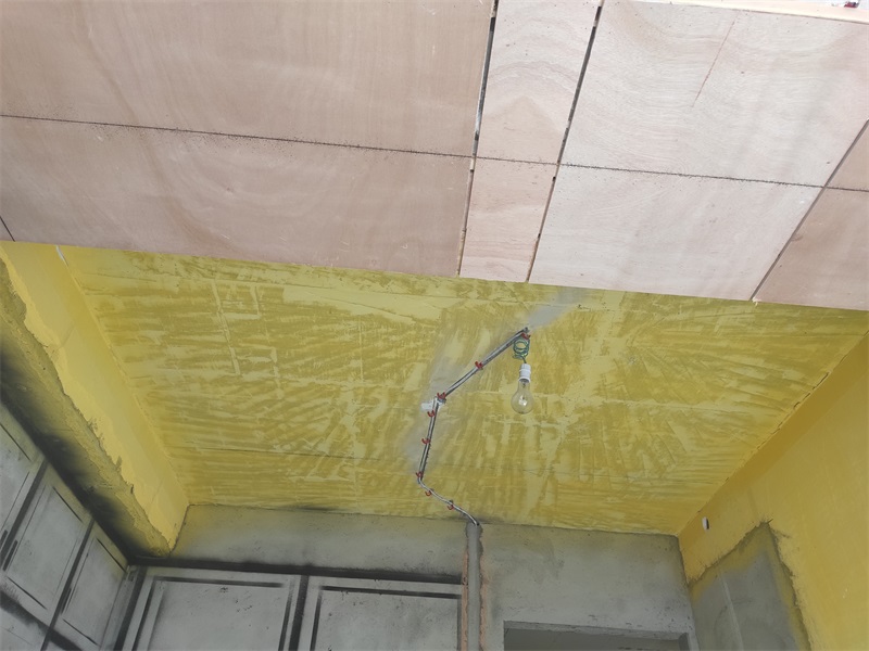 IMG_20191010_121049.jpg