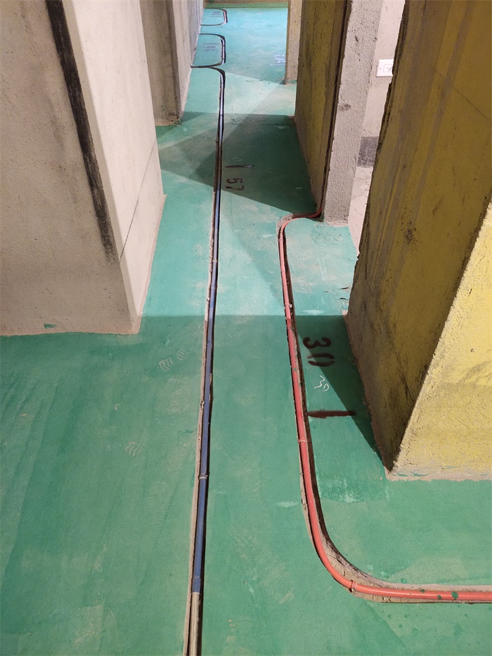 IMG_20191013_165647.jpg