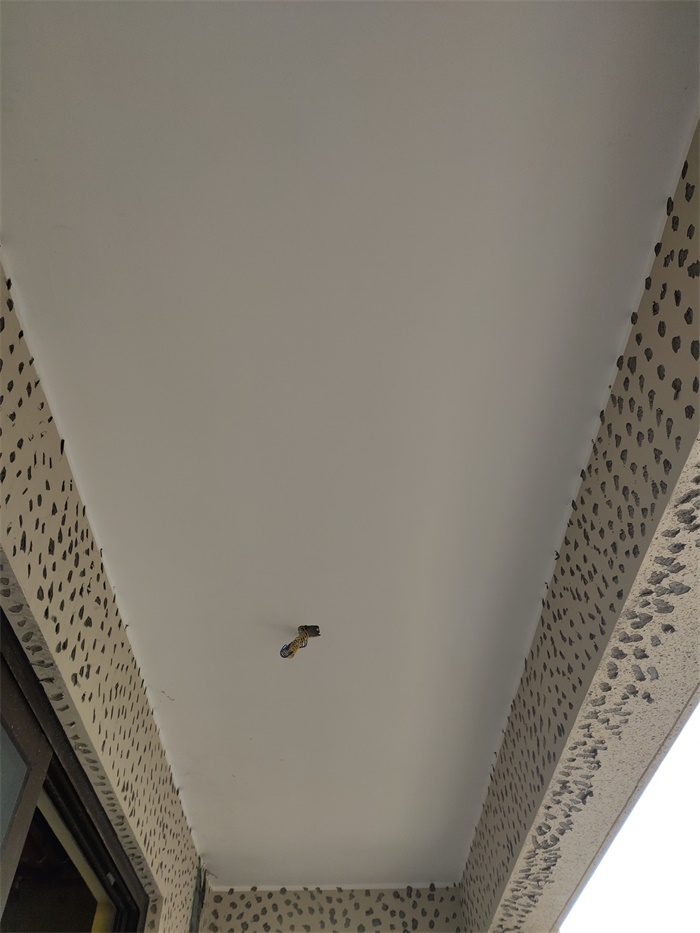 IMG_20191007_094518.jpg