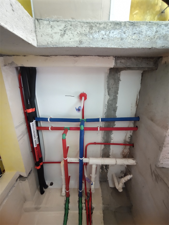 IMG_20191013_095313.jpg