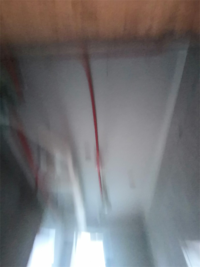 IMG_20191013_170436.jpg