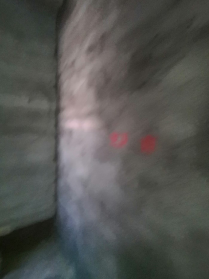 IMG_20191020_092146.jpg