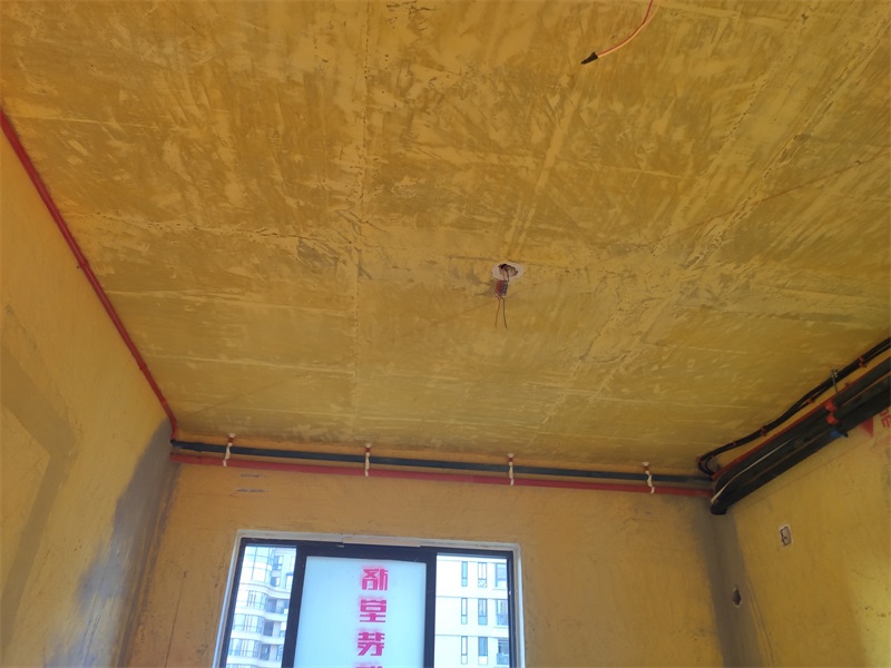 IMG_20191010_170048.jpg