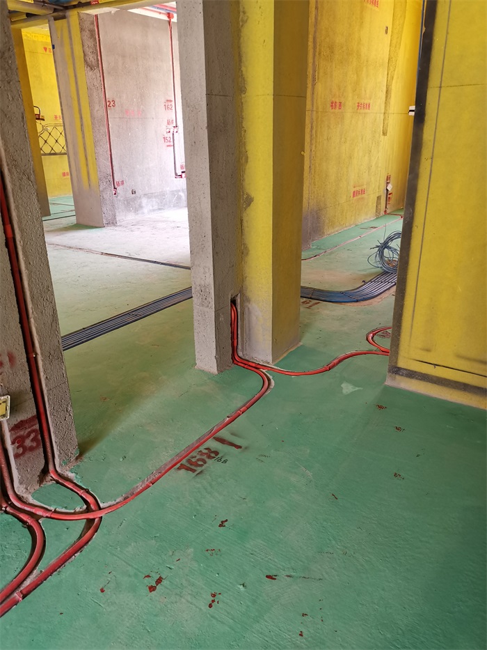 IMG_20191022_121542.jpg
