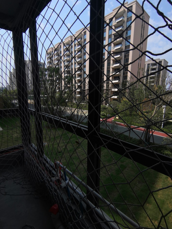 IMG_20191004_124403.jpg