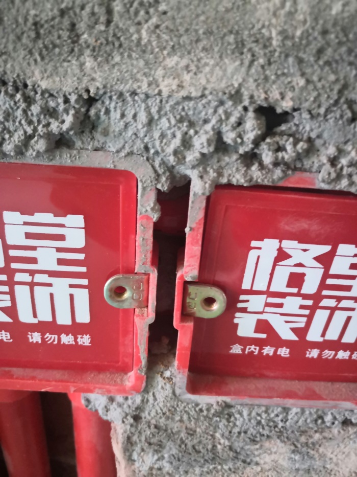 IMG_20191004_124948.jpg