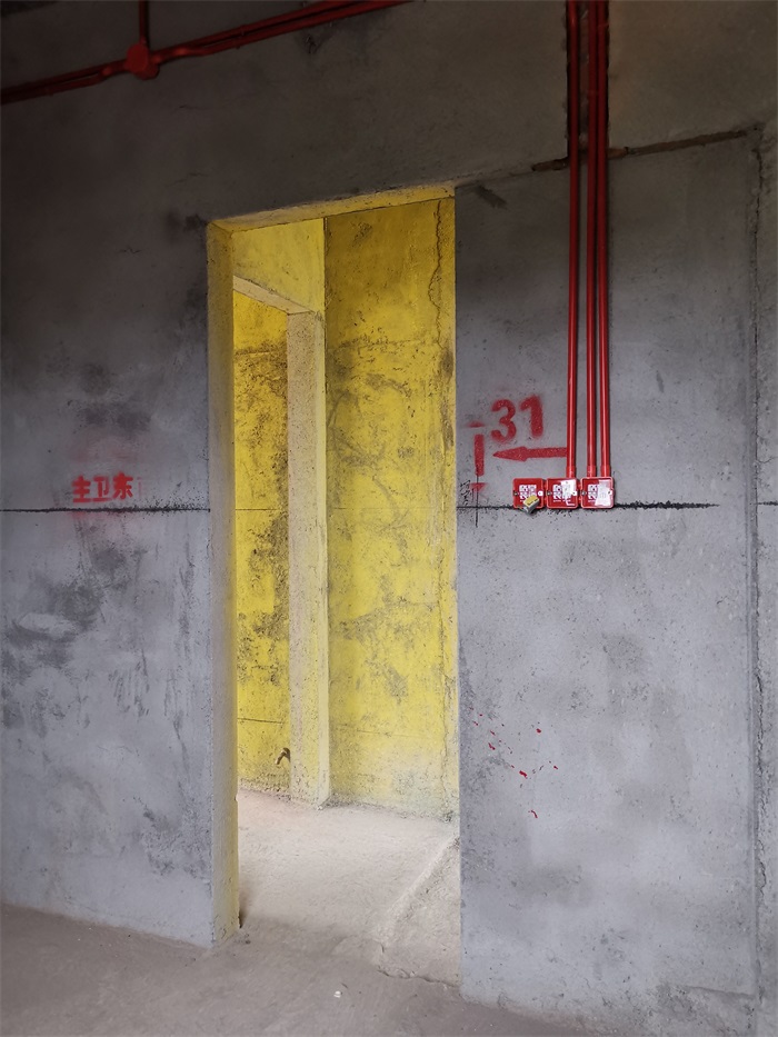 IMG_20191013_110850.jpg