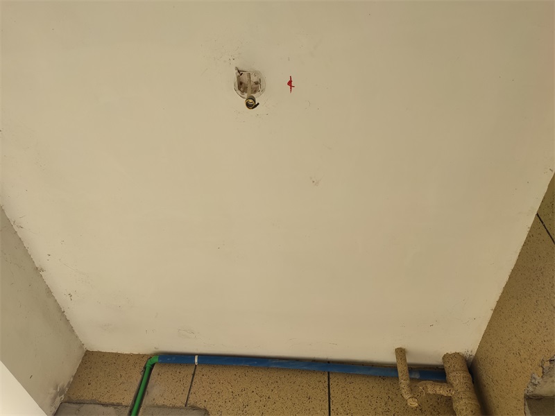 IMG_20191022_101924.jpg