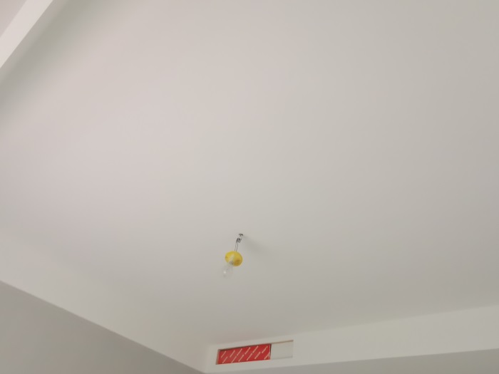 IMG_20191016_160313.jpg