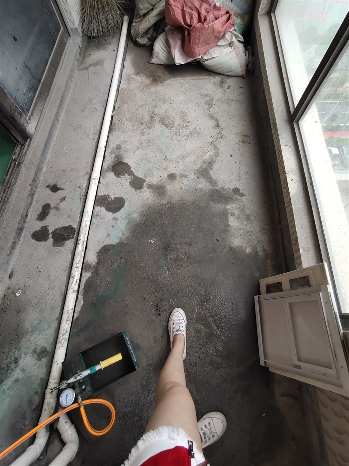 IMG_20190713_123359.jpg
