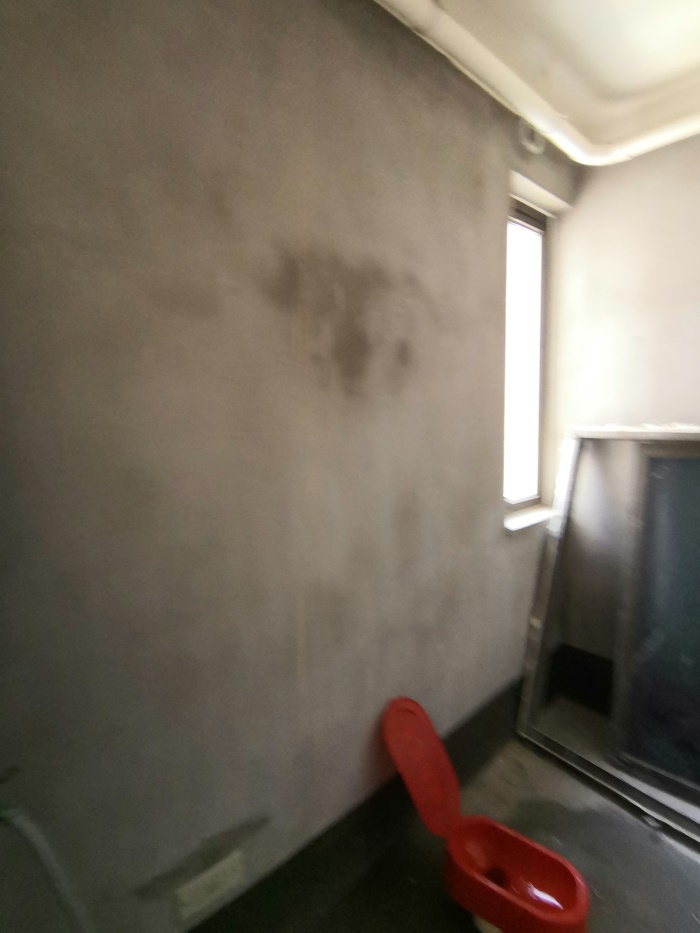 IMG_20191029_140405.jpg