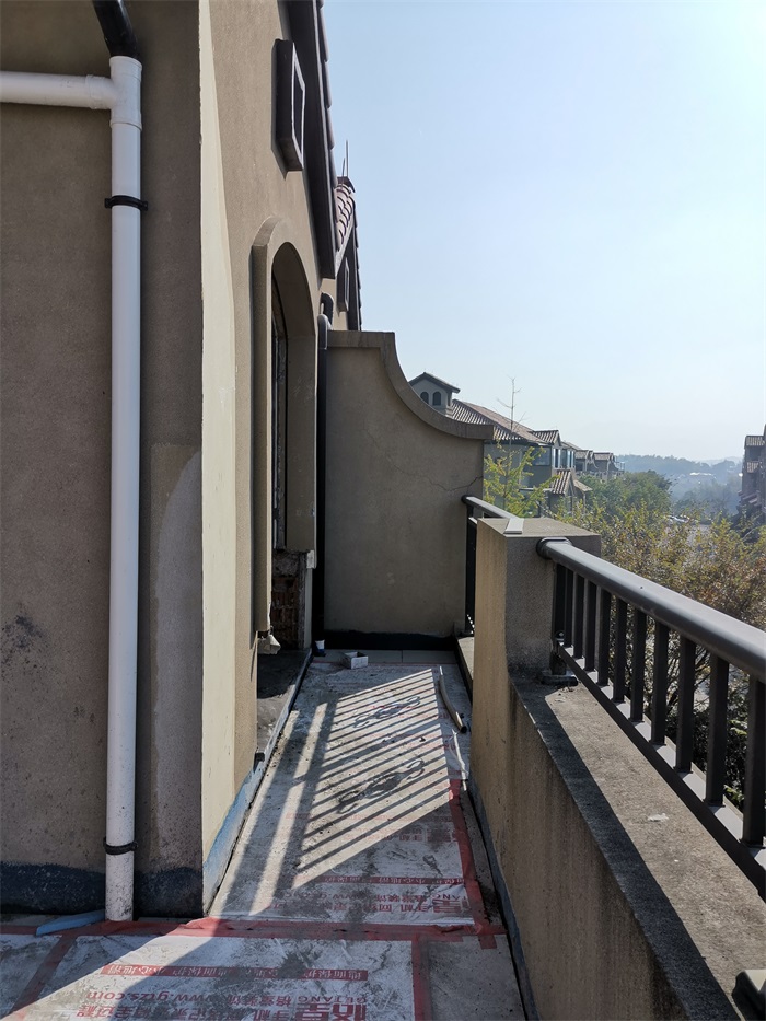IMG_20191020_090733.jpg