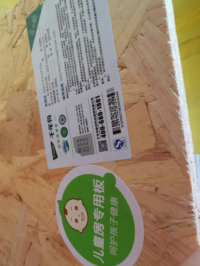 IMG_20191022_113541.jpg
