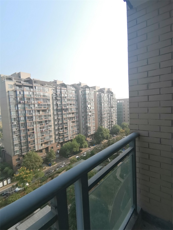 IMG_20191010_084759.jpg