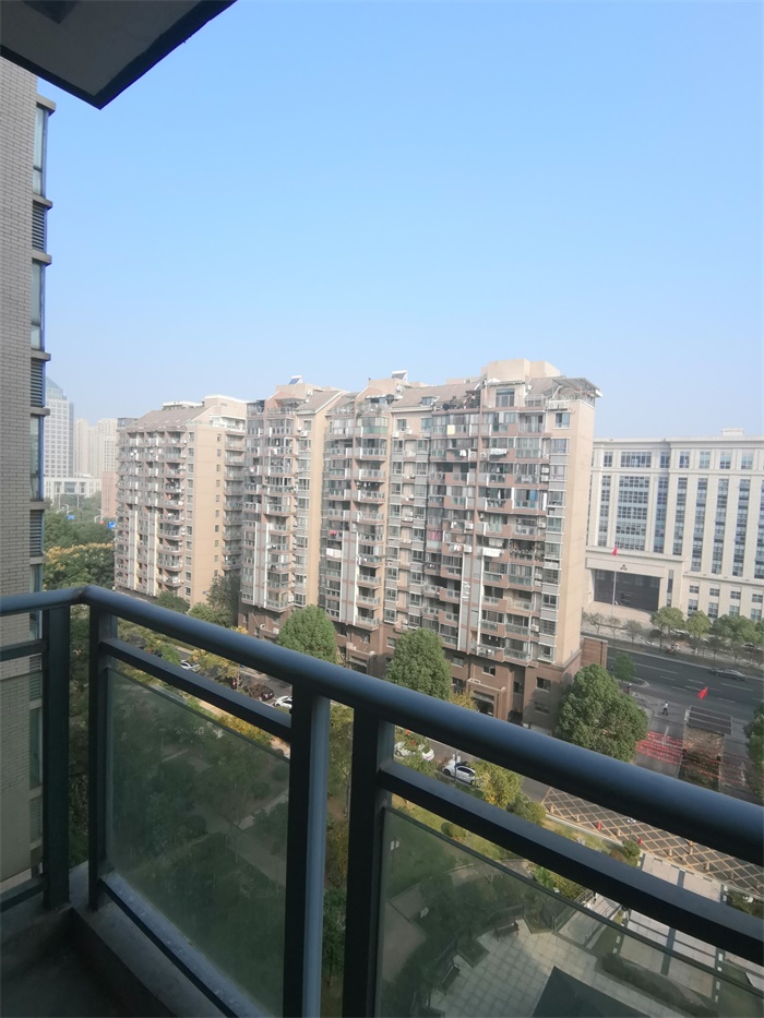 IMG_20191010_084812.jpg