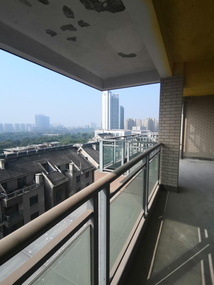 IMG_20191010_085115.jpg