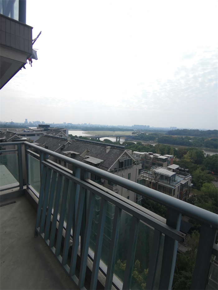 IMG_20191018_085638.jpg