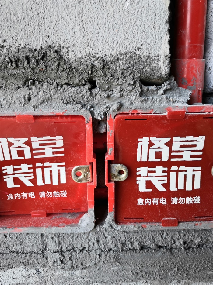 IMG_20191018_085937.jpg