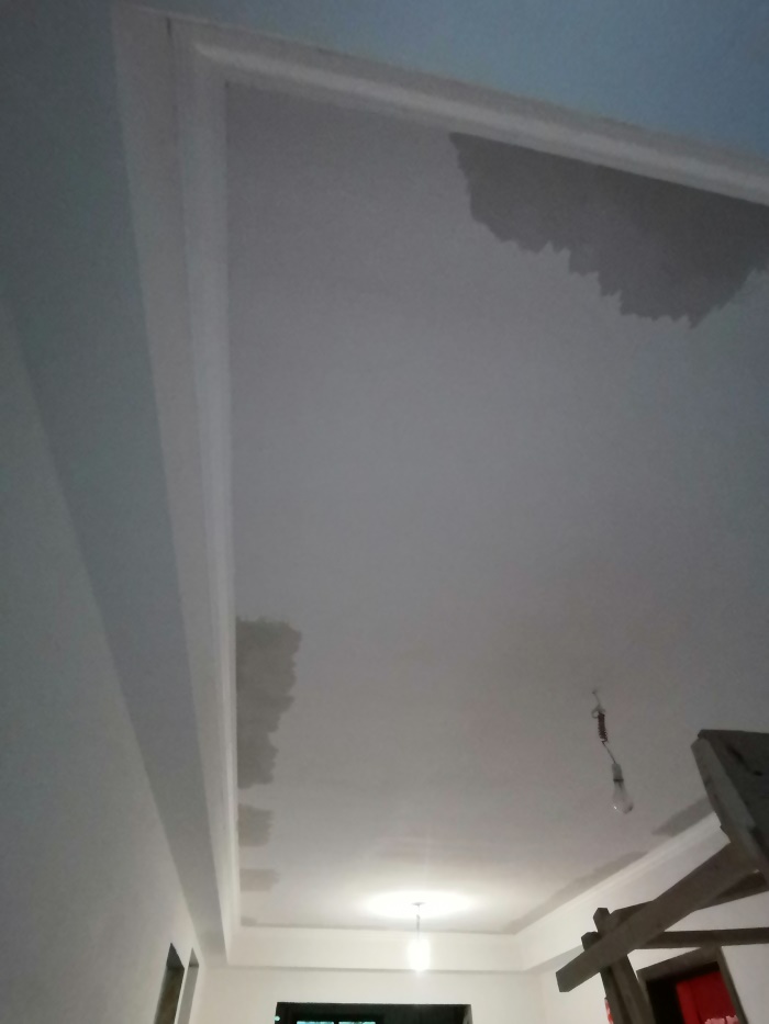 IMG_20191008_093035.jpg