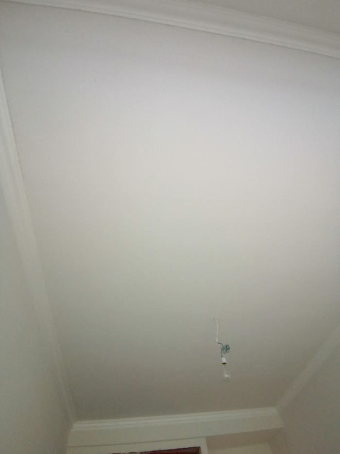 IMG_20191008_093240.jpg