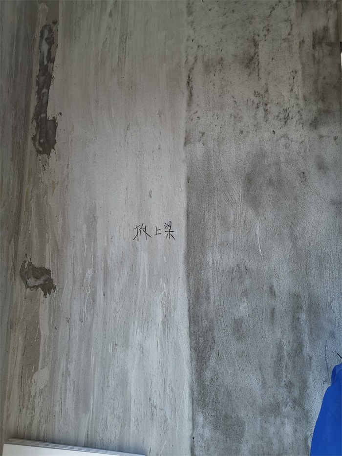 IMG_20191102_121603.jpg