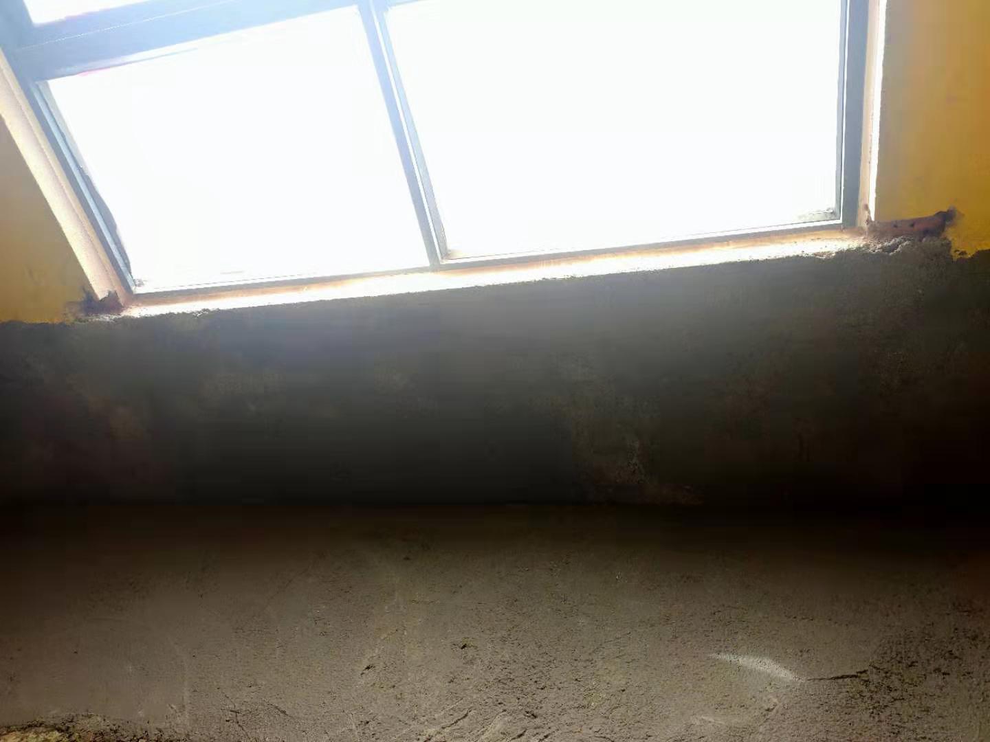 Ʈ���ֽ�