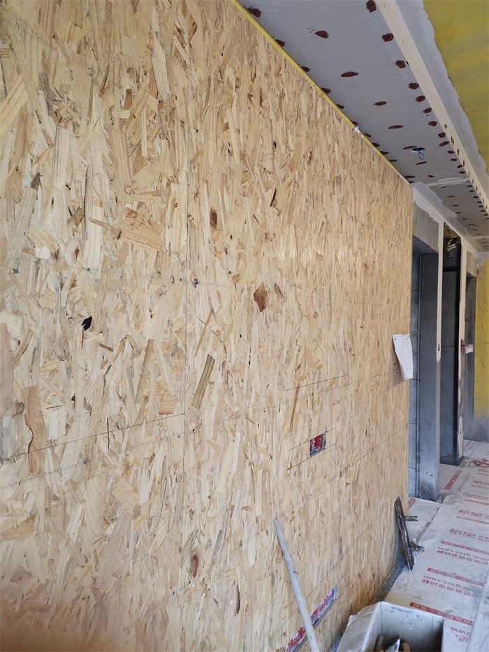 IMG_20191015_090629.jpg
