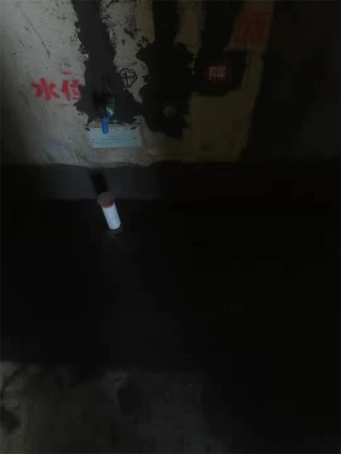 mmexport1572353277223.jpg