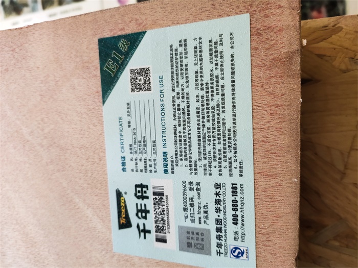 IMG_20191019_101620.jpg