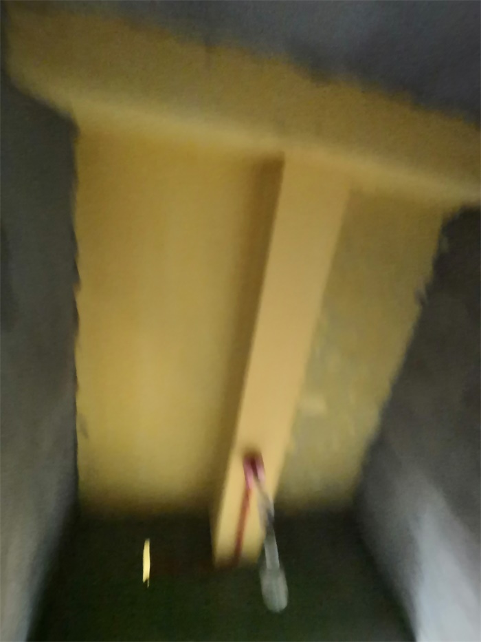 IMG_20190615_162538.jpg