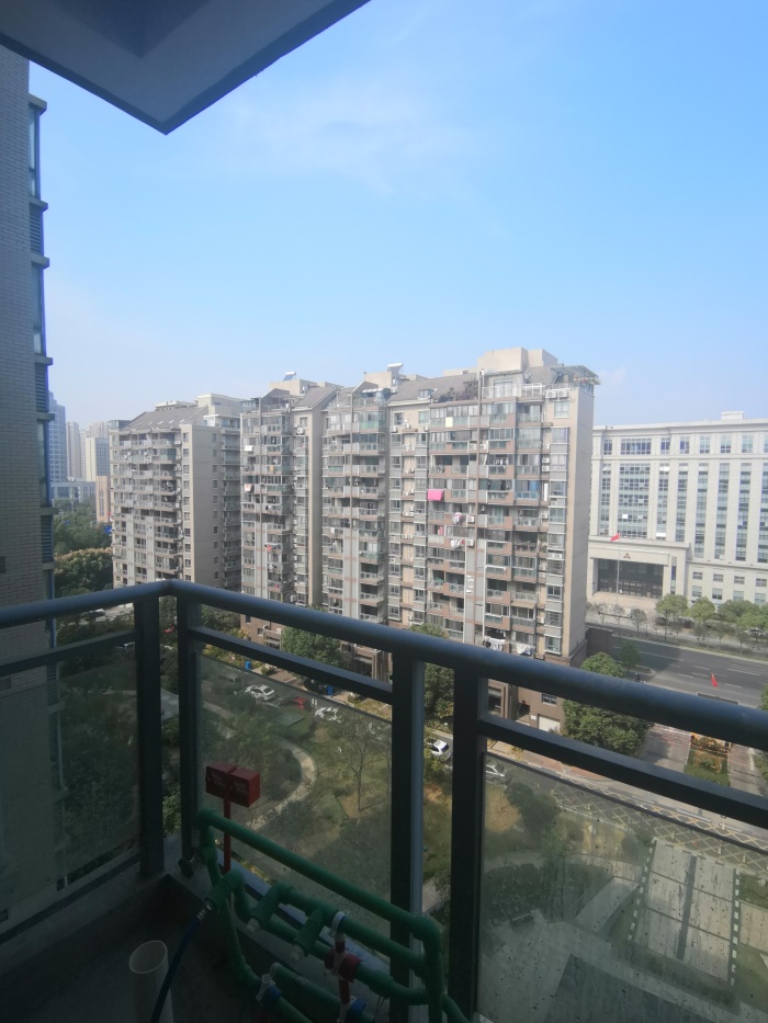 IMG_20191024_121955.jpg