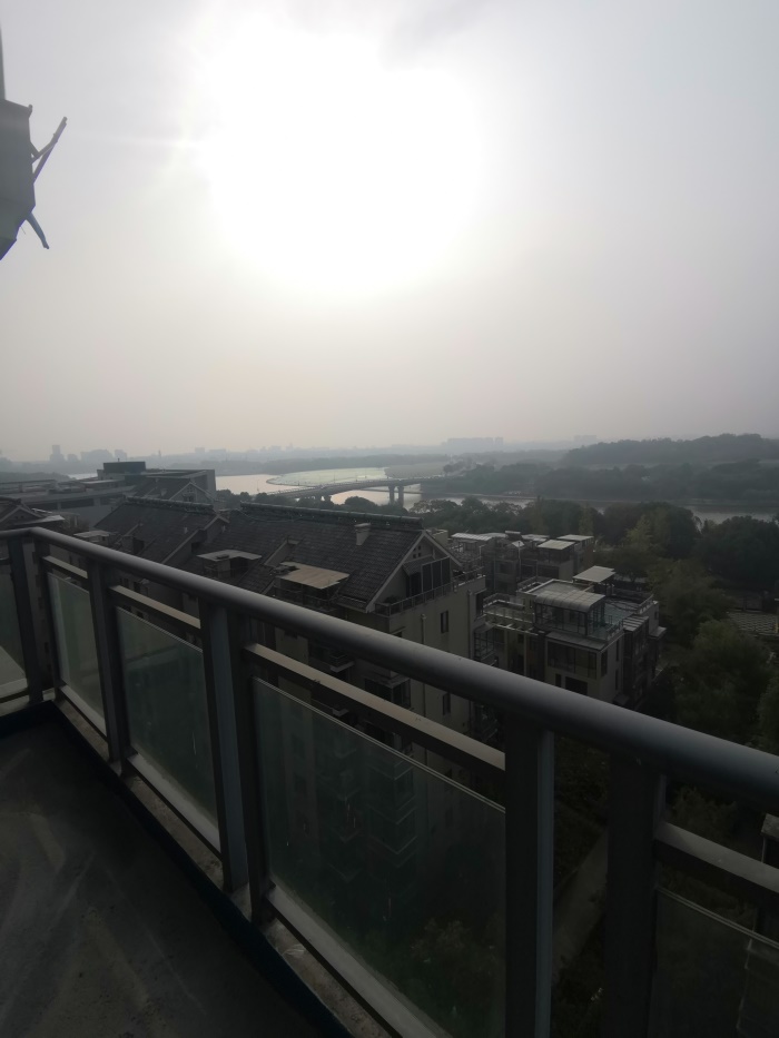IMG_20191105_085354.jpg