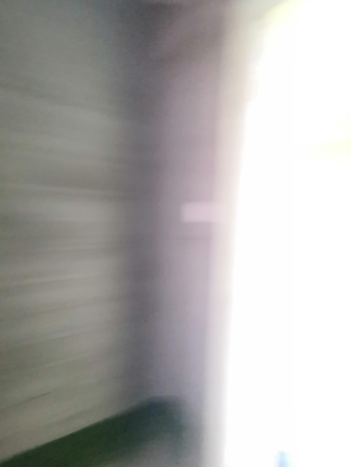IMG_20191019_095026.jpg