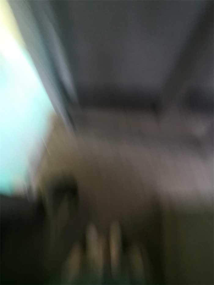 IMG_20191019_095033.jpg