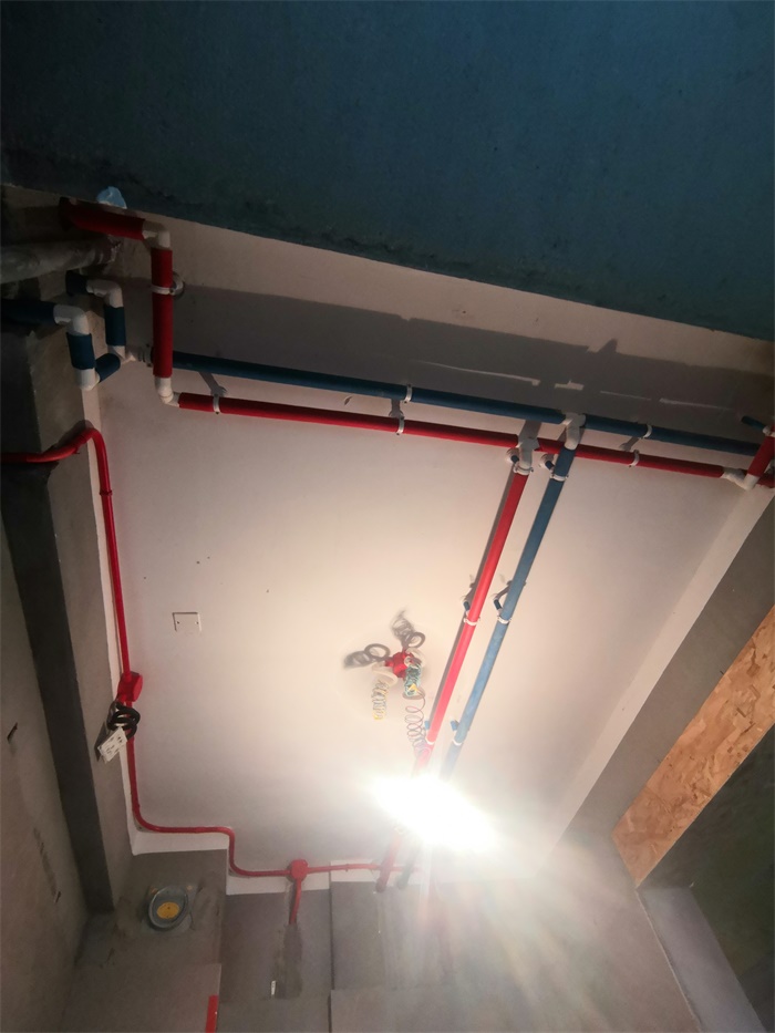 IMG_20191016_163249.jpg