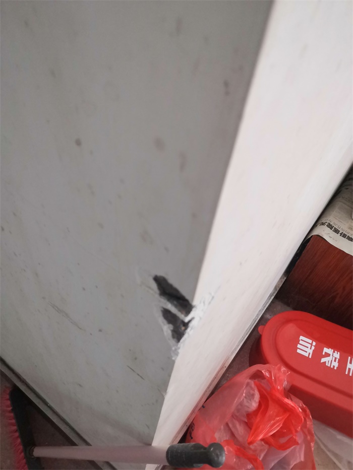 IMG_20191110_101837.jpg