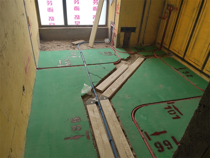 IMG_20191103_131449.jpg