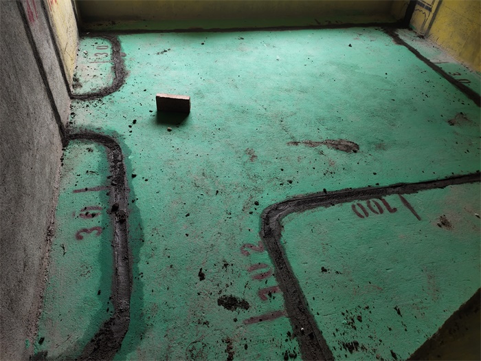 IMG_20191017_141558.jpg