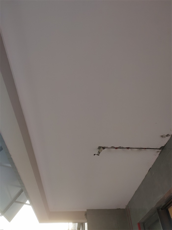 IMG_20191114_165423.jpg