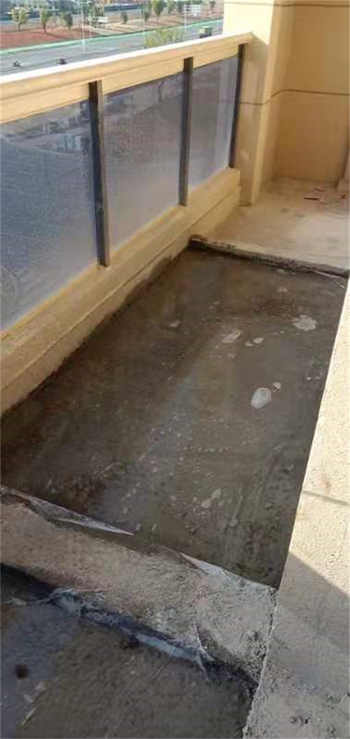 mmexport1573959512377.jpg