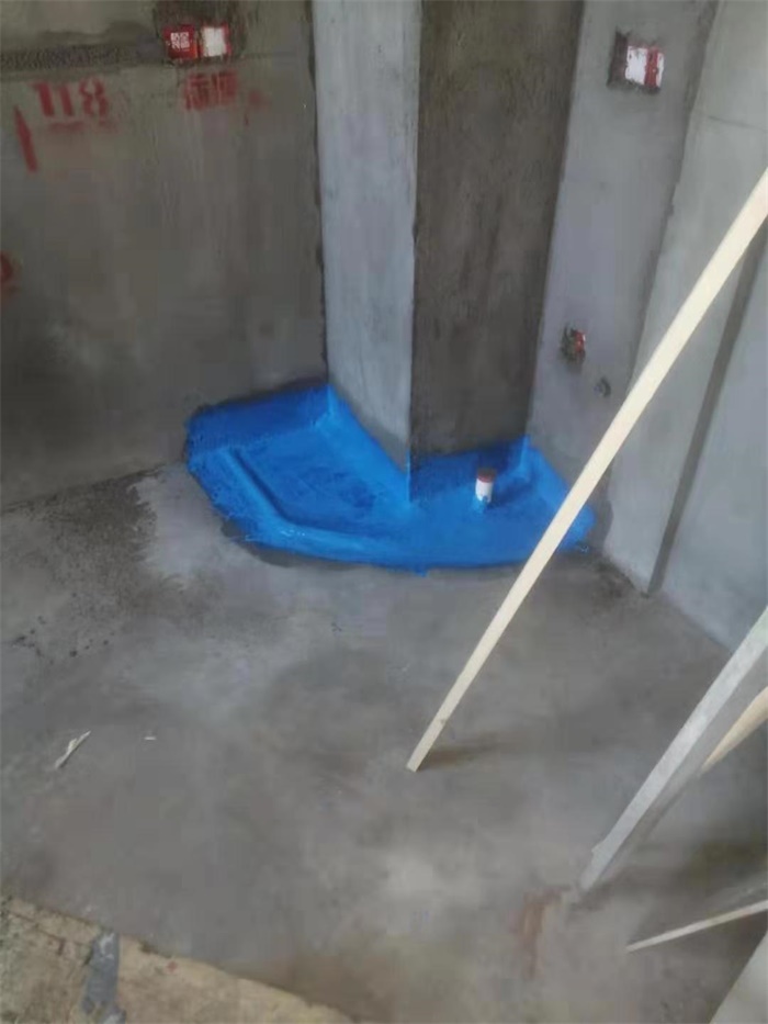 mmexport1573961588969.jpg