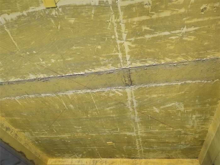 IMG_20191115_085503.jpg