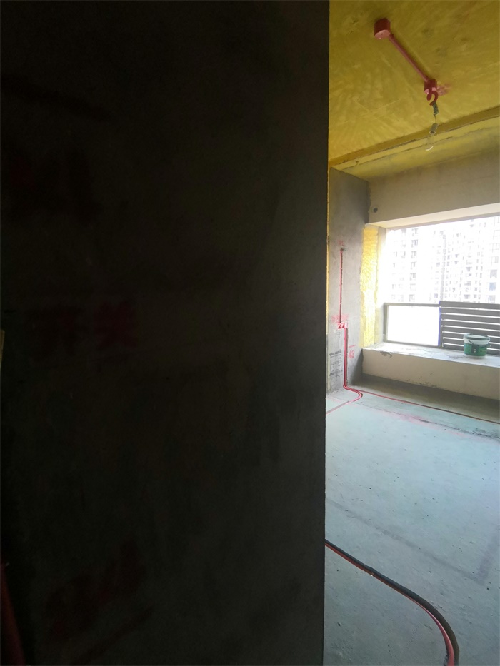 IMG_20191108_154450.jpg