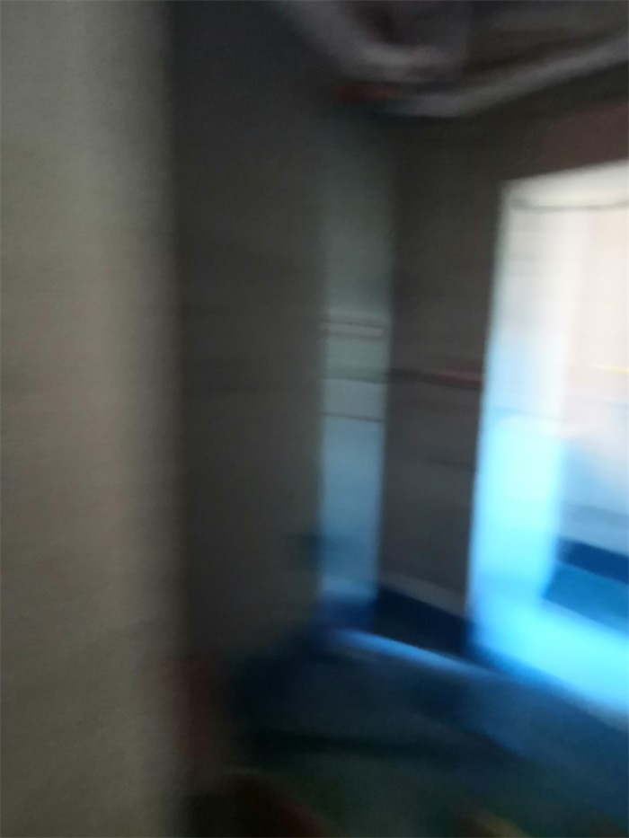 IMG_20190925_143059.jpg