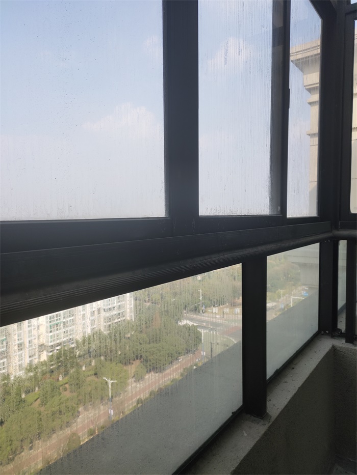 IMG_20191108_130354.jpg