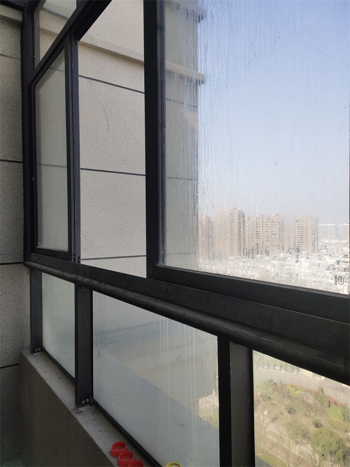 IMG_20191111_103240.jpg