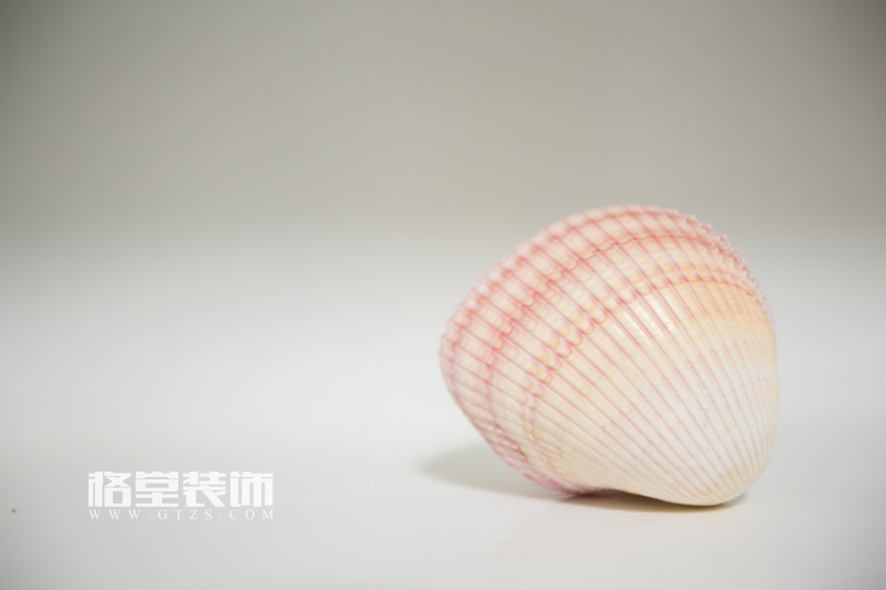 7E1A1017.jpg