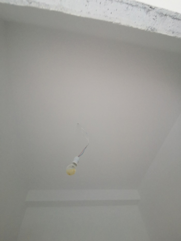 IMG_20190829_090741.jpg