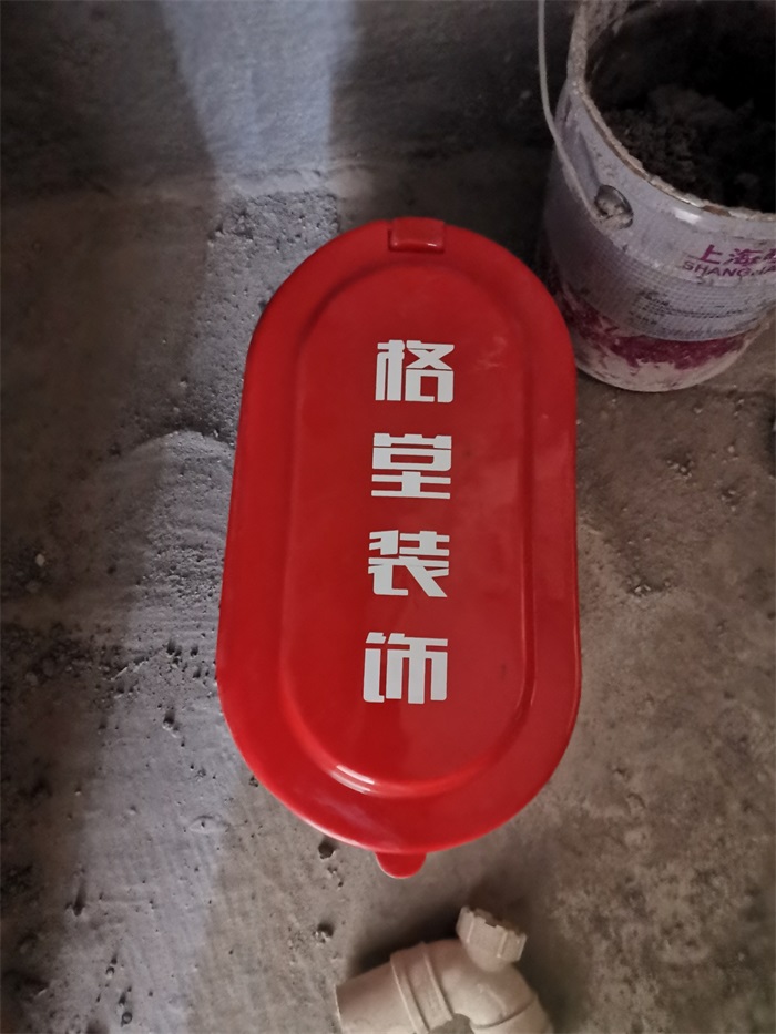 IMG_20191121_094617.jpg